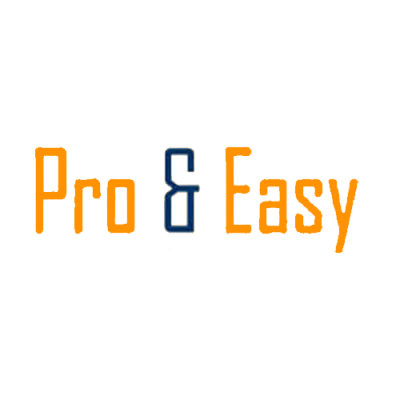 pro-n-easy cheque software